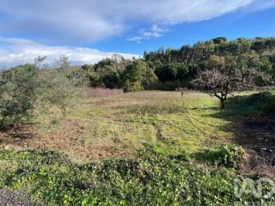 Annonce Vente Terrain Torres-vedras