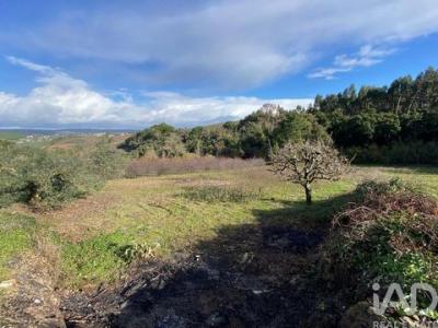 Acheter Terrain 1600 m2 Torres-vedras