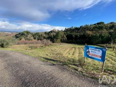 Acheter Terrain Torres-vedras r�gion LISBOA