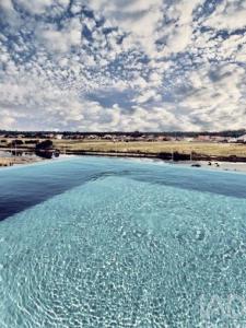 Acheter Appartement Vagos r�gion AVEIRO