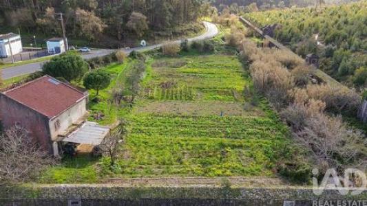 Annonce Vente Terrain Sintra