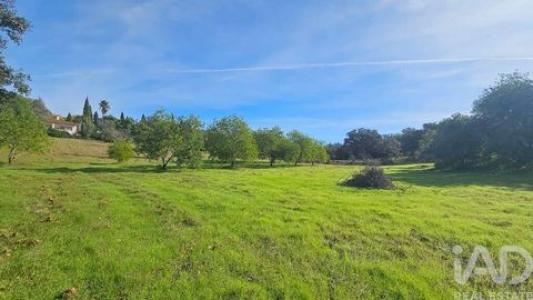 Acheter Terrain 9560 m2 Faro