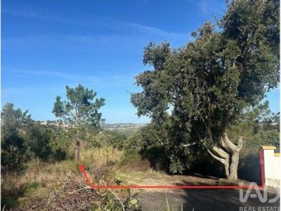 Annonce Vente Terrain Mafra