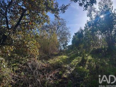 Acheter Terrain Mafra r�gion LISBOA