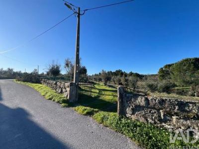 Acheter Maison 115 m2 Gouveia