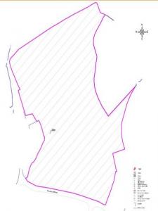 Acheter Terrain 31109 m2 Santo-tirso