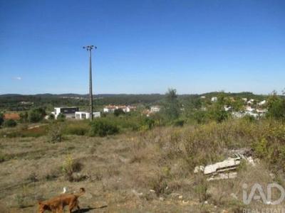 Acheter Terrain Soure r�gion COIMBRA