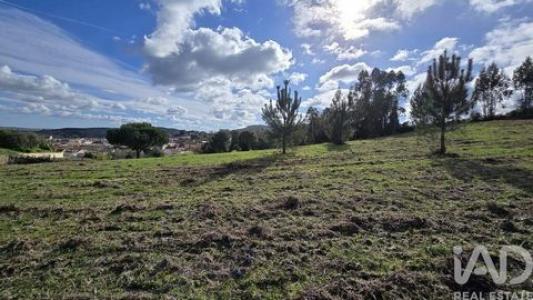 Annonce Vente Terrain Cadaval