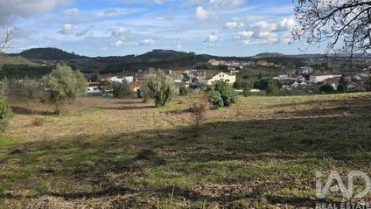 Acheter Terrain 7500 m2 Cadaval