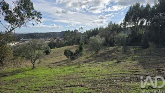 Acheter Terrain Cadaval r�gion LISBOA