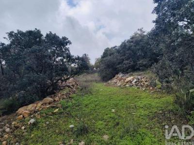 Annonce Vente Terrain Sao-bras-de-alportel