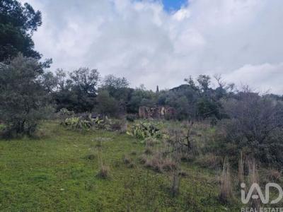 Acheter Terrain Sao-bras-de-alportel r�gion FARO