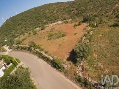 Annonce Vente Terrain Faro