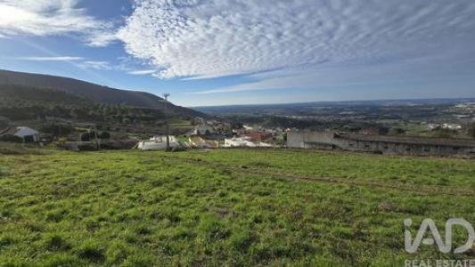 Acheter Terrain 7000 m2 Cadaval