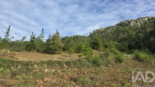 Acheter Terrain Cadaval r�gion LISBOA