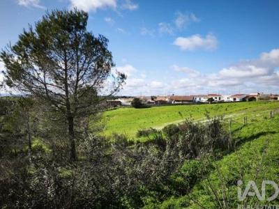 Acheter Terrain 32767 m2 Mertola