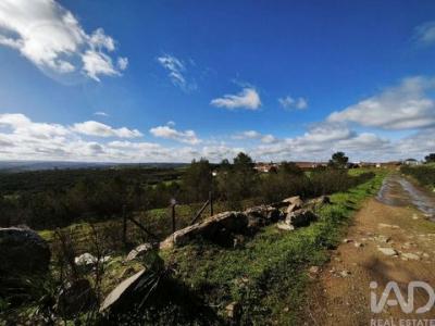 Acheter Terrain Mertola r�gion BEJA