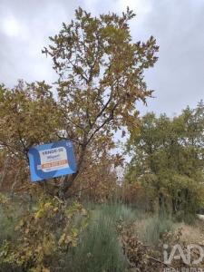 Acheter Terrain 10000 m2 Sabugal