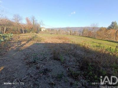 Annonce Vente Terrain Marco-de-canaveses