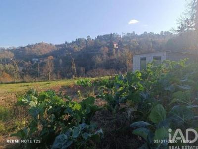 Acheter Terrain Marco-de-canaveses r�gion PORTO