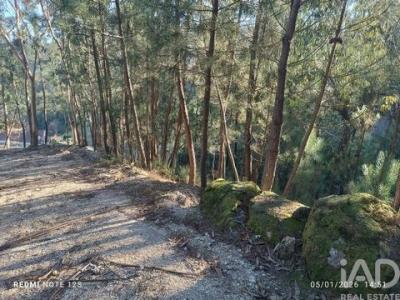 Annonce Vente Terrain Marco-de-canaveses