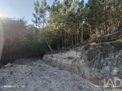 Acheter Terrain 1300 m2 Marco-de-canaveses