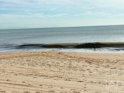 Acheter Appartement 90 m2 Cascais