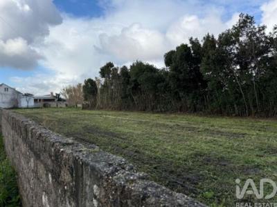 Acheter Terrain Leiria r�gion LEIRIA