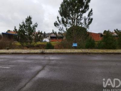 Annonce Vente Terrain Alcobaca