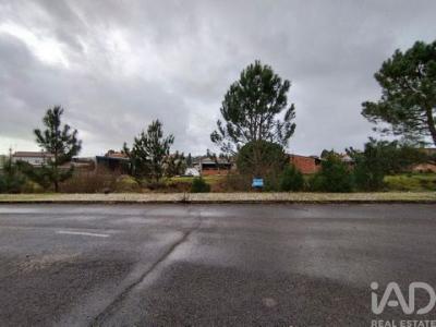 Acheter Terrain Alcobaca r�gion LEIRIA