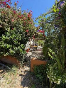 Annonce Vente Maison Lagos