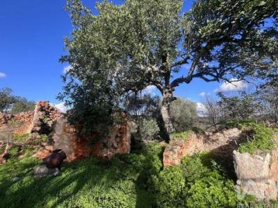 Acheter Terrain Loule r�gion FARO