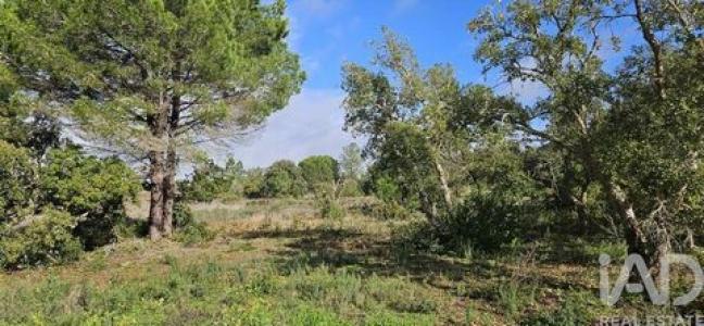 Acheter Terrain 24520 m2 Lagos