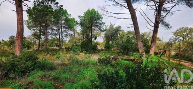 Acheter Terrain Lagos r�gion FARO