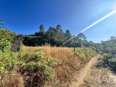 Acheter Maison Amarante r�gion PORTO