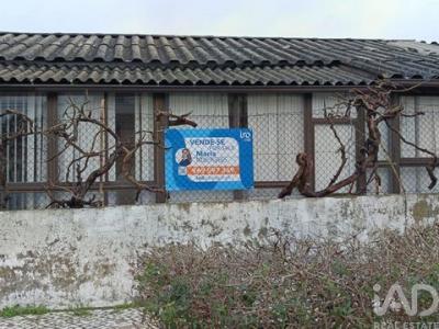 Annonce Vente Terrain Sesimbra