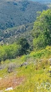 Acheter Terrain 32767 m2 Torre-de-moncorvo