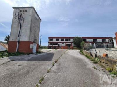 Acheter Local commercial 2536 m2 Lourinha