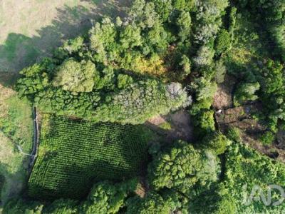 Annonce Vente Terrain Lajes-do-pico