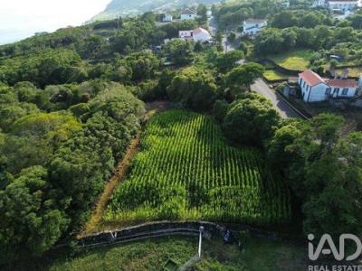 Acheter Terrain Lajes-do-pico r�gion ACORES