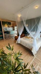 Acheter Appartement 60 m2 Albufeira