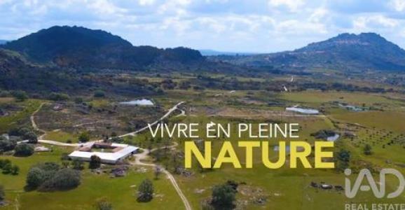 Vente Local commercial Idanha-a-nova  05