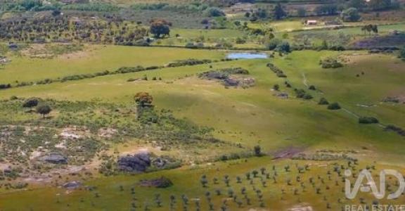 Acheter Local commercial Idanha-a-nova r�gion CASTELO-BRANCO