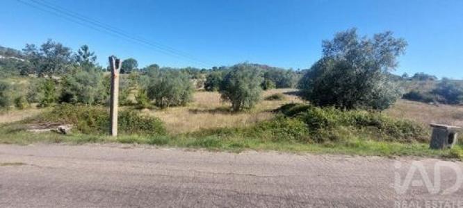 Annonce Vente Terrain Leiria