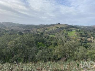 Annonce Vente Terrain Sao-bras-de-alportel