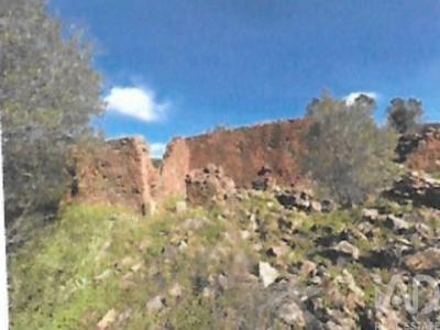 Annonce Vente Terrain Sao-bras-de-alportel