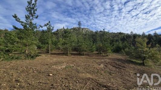 Acheter Terrain 6800 m2 Cadaval