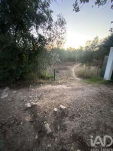 Acheter Terrain Faro r�gion FARO