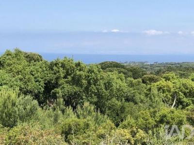 Annonce Vente Terrain Sesimbra