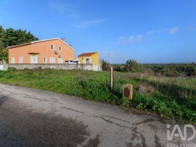 Acheter Terrain 425 m2 Santarem